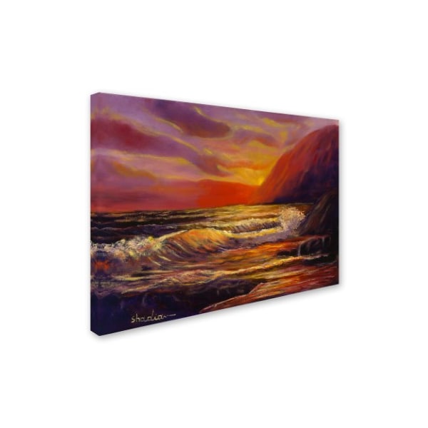 Manor Shadian 'Coastal Dreams' Canvas Art,24x32